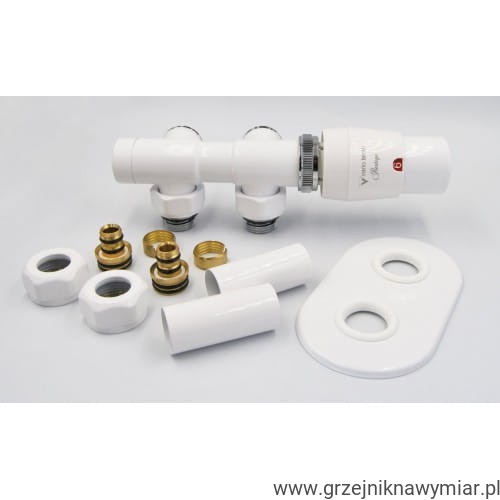 Zestaw zaworowy TWINS ALL IN ON VARIO TERM.jpg