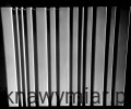 20210224_155119.jpg