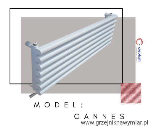 Cannes.png